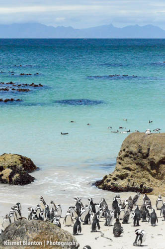 Cape Town (11 of 33)