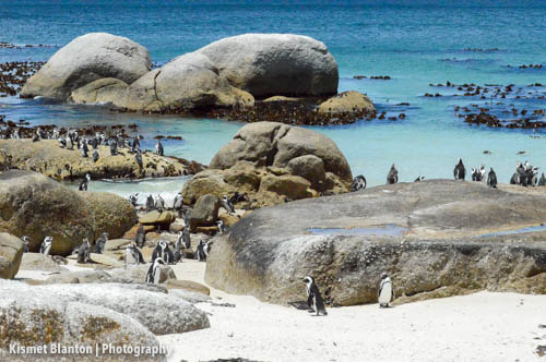 Cape Town (13 of 33)