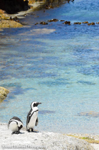 Cape Town (18 of 33)