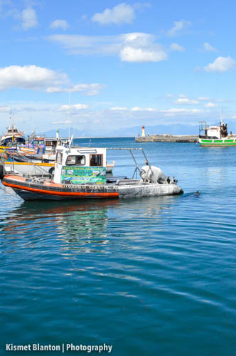 Cape Town (20 of 33)