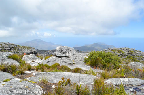 Cape Town (25 of 33)