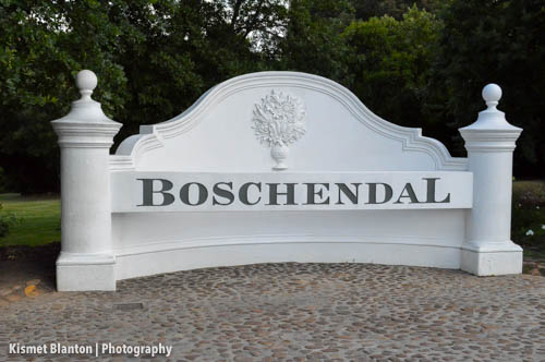 Cape Town (30 of 33)