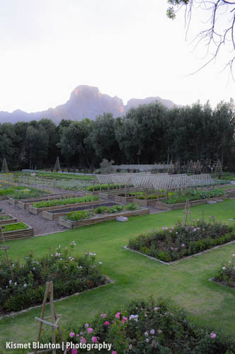 Cape Town (31 of 33)