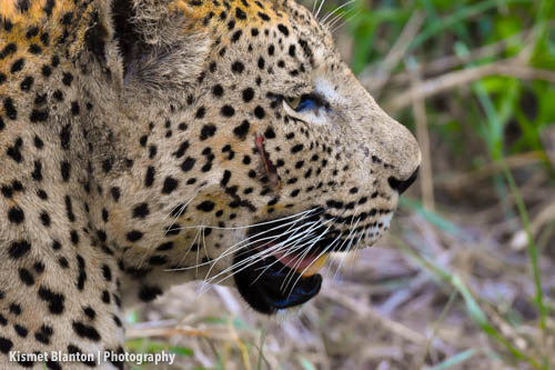 Nottens Bush Camp (111 of 150)