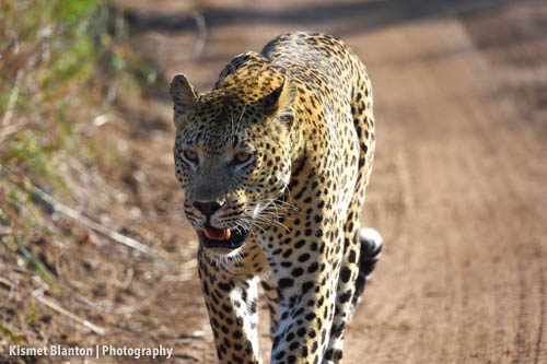 Nottens Bush Camp (112 of 150)