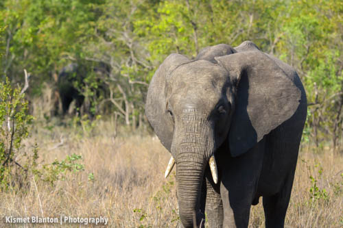 Nottens Bush Camp (115 of 150)