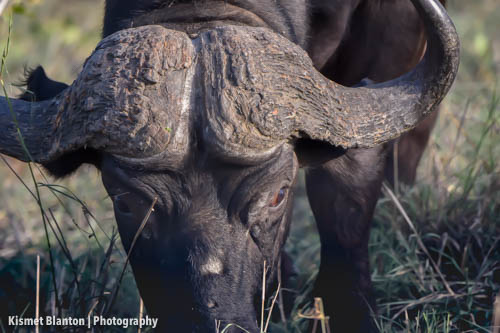 Nottens Bush Camp (136 of 150)