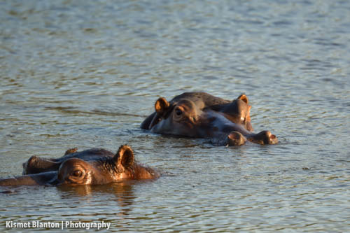 Nottens Bush Camp (137 of 150)