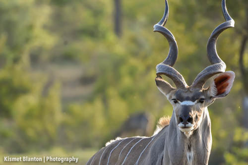 Nottens Bush Camp (138 of 150)