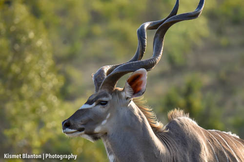 Nottens Bush Camp (139 of 150)