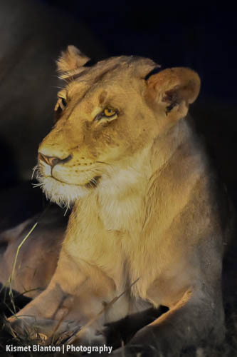 Nottens Bush Camp (145 of 150)