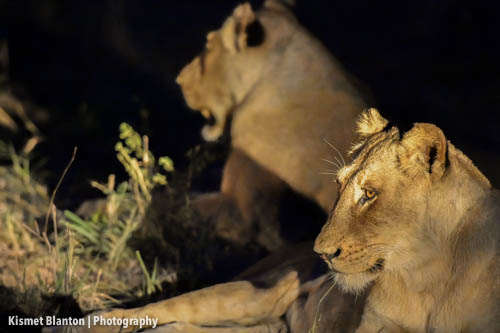 Nottens Bush Camp (147 of 150)
