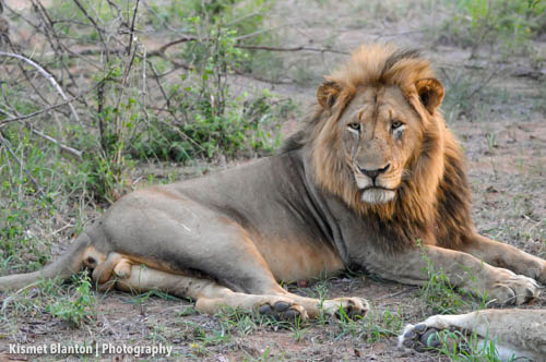 Nottens Bush Camp (33 of 150)