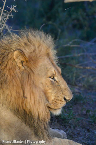 Nottens Bush Camp (36 of 150)