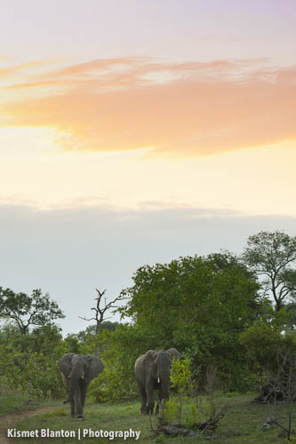 Nottens Bush Camp (41 of 150)