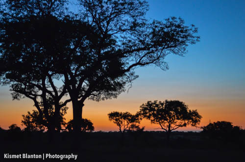 Nottens Bush Camp (77 of 150)