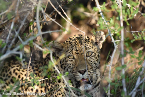 Nottens Bush Camp (79 of 150)