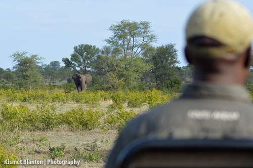 Nottens Bush Camp (8 of 150)