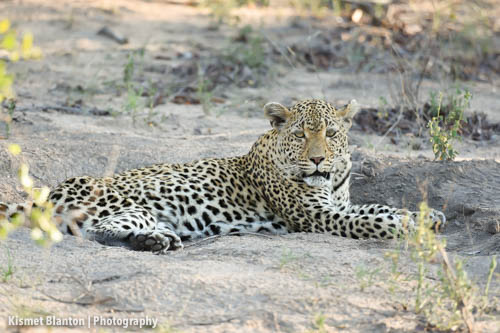 Nottens Bush Camp (80 of 150)