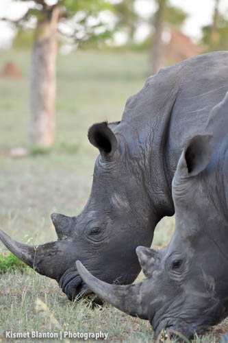 Nottens Bush Camp (85 of 150)