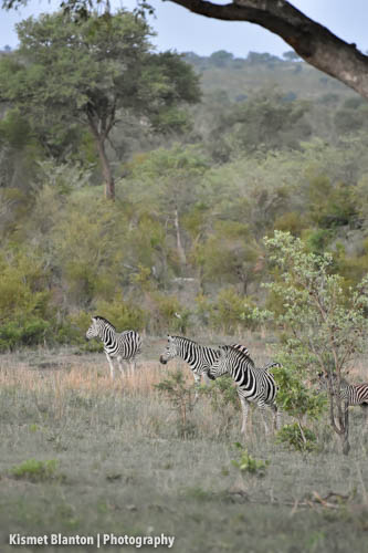 Nottens Bush Camp (90 of 150)