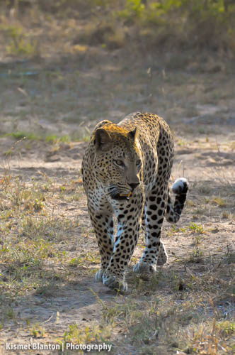 Nottens Bush Camp (97 of 150)